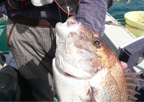 �l�E�V���J�[�̎��̓C���[�W�摜